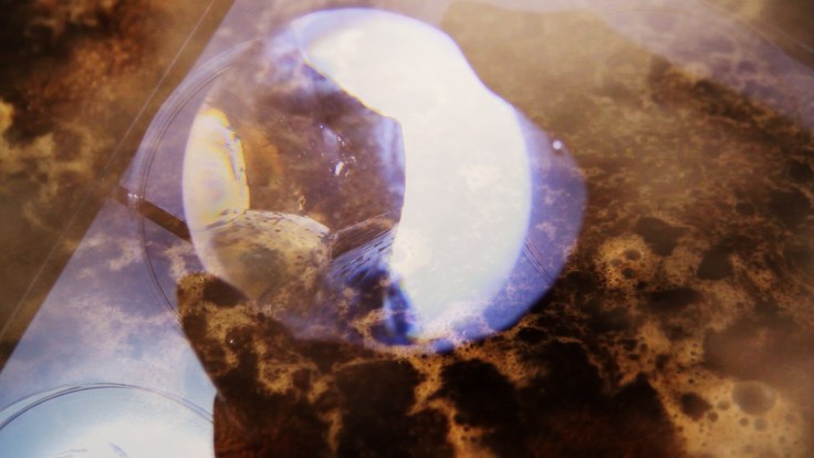 image 8 icelandic journey3