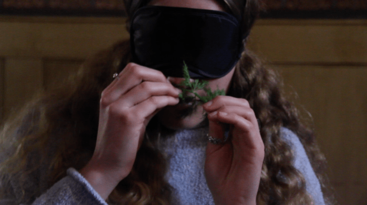 screen-shot-2016-11-28-at-16-06-48