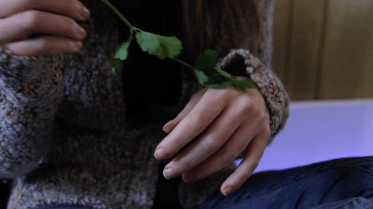 screen-shot-2016-11-28-at-16-09-13