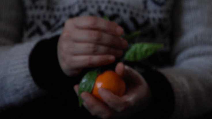 screen-shot-2016-11-28-at-16-11-26